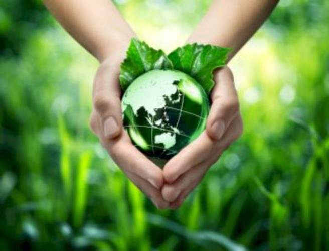 world-environmental-health-day-2022-–-strengthening-environmental-health-systems-for-the-implementation-of-the-sustainable-development-goals